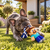 MINECRAFT Hundespielzeug mit Seil Steve