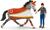 Schleich Mia a set pre vaulting