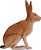 Mein sitzender Hase