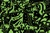 Mudpuppy Puzzle Draci - svieti v tme 100 dielikov