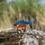 Safari® Kentrosaurus dinosaurus
