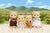 Sylvanian Families Rodina medvedíkov