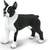 Safari® Boston terrier