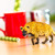 Safari® Hyena