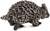 Safari® Equidna