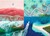 Trefl Prime Puzzle 500 UFT – Luftaufnahme: Über Wasser