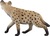 Mojo Hyena