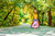 Lexibook Aufblasbarer Hüpfball 45 cm rosa Paw Patrol
