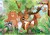 SENTOSPHERE Puzzle pentru copii Animale din savană 2x24 piese