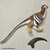 Safari® Deinonychus dinosaurus