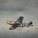 Hangar 9 P-51D Mustang 1.8m 20cc ARF