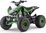 Benzínová štvorkolka pre deti Beneo Motors ZXT zelená - 125cm3