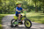 Dino Bikes - Detský bicykel 16" Dino 616-DSA Dinosaurus