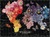 Galison Puzzle Blühende Landschaft 1000 Teile