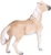 Mojo Kôň Brumby Mare