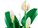 LEGO® Botanicals 11504 Lopatkovec