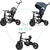 QPLAY Dreirad Rito Star Blue, klappbar, Alter 10-72 Monate