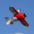 E-flite Gee Bee R-2 1.0m PNP