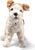 STEIFF Originals Foxy Fox Terrier, multicoloured plyšová hračka