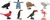 Safari® Fun Pack Vögel 8 Figuren