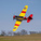 E-flite SNJ-5/AT-6 Texan 1.5m PNP