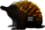 EUGY Echidna puzzle 3D in cartone