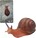 Živá příroda: Snail - realistický model šneka (13 cm)
