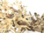 Bonsai Driftwood 25 x 20 x 23 cm Nr.82