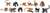 Safari® Toob Affen und Menschenaffen 12 Figuren