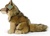 Plüsch Kojote/Wolf sitzend 24 cm UMWELTFREUNDLICH
