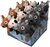 Hračky Dog Fantasy Playful Box Laughing zvieratká pískacie a šuštiaci chvost mix 29cm 18ks