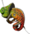EUGY Chameleon 3D kartonová skládačka