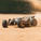 Arrma Typhon Grom 223S BLX 1:14 4WD RTR Basic srebrna
