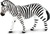 Safari® Zebra stepná