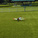 RealFlight Evolution RC letecký simulátor, ovládač InterLink DX
