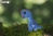EUGY Brontosarus 3D kartonasta sestavljanka