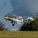 E-flite P-51D Mustang 1.0m AS3X+ SAFE Select BNF Basic