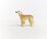 Schleich Chrt