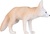Il mio Fennec di Volpe