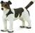 Safari® Jack Russell terrier
