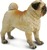 Safari® Câine Mops
