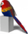EUGY Papoušek 3D kartonová skládačka