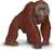 Safari® Borneo-Orang-Utan
