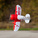 E-flite Gee Bee R-2 0.51m AS3X SAFE Select BNF Basic