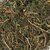 Bylinky Nature Land Botanical so zeleninou 125g