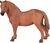 Mojo Suffolk punch kobyla