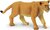 Safari® Levica