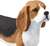 Safari® Pes Beagle