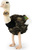 Autruche en peluche 33 cm ECO-FRIENDLY PLUSH WORLD