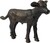 Safari® Teliatko plemena Angus